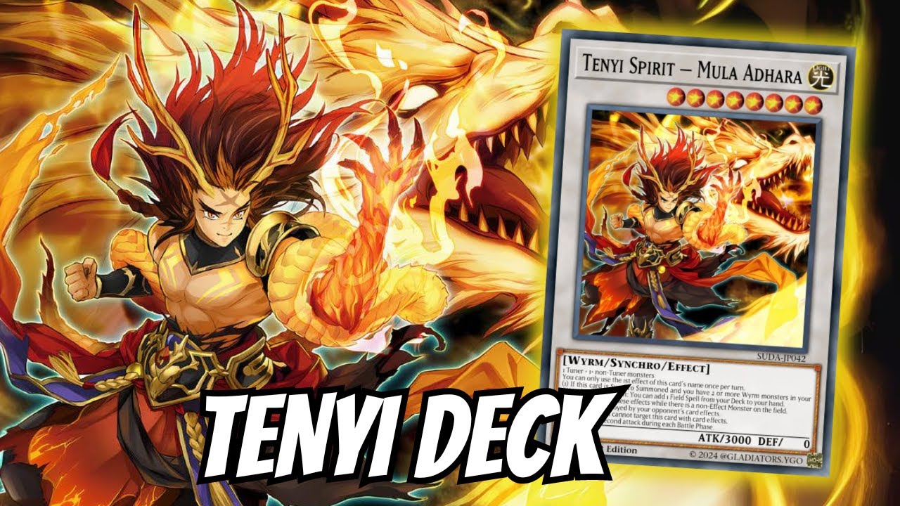 3 New TENYI Cards! INSANE Combos & Deck Profile - MDPRO 2024
