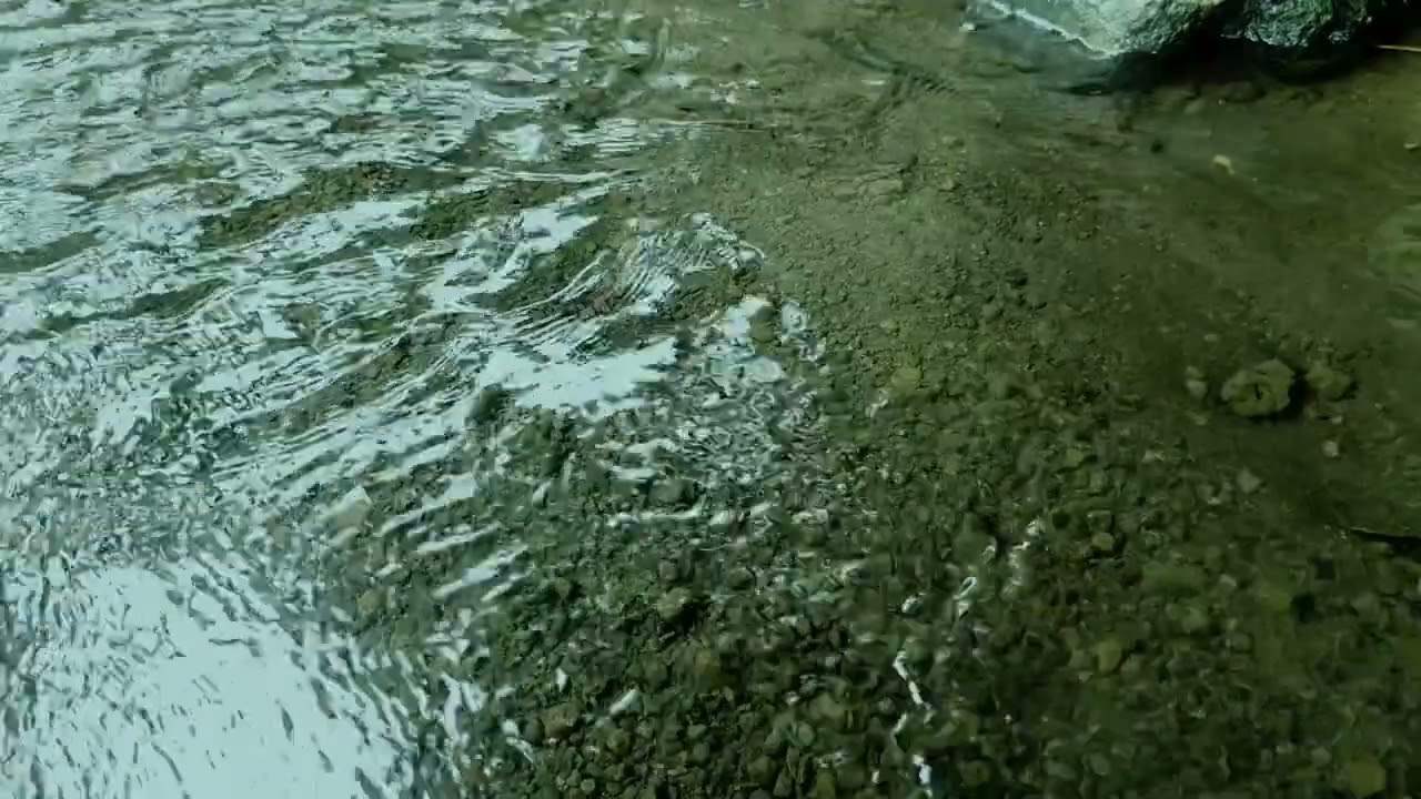 SONIDO de AGUA SUAVE del RÍO 💧 Agua Tranquila Fluyendo para Relajarse, Dormir y Concentrarse