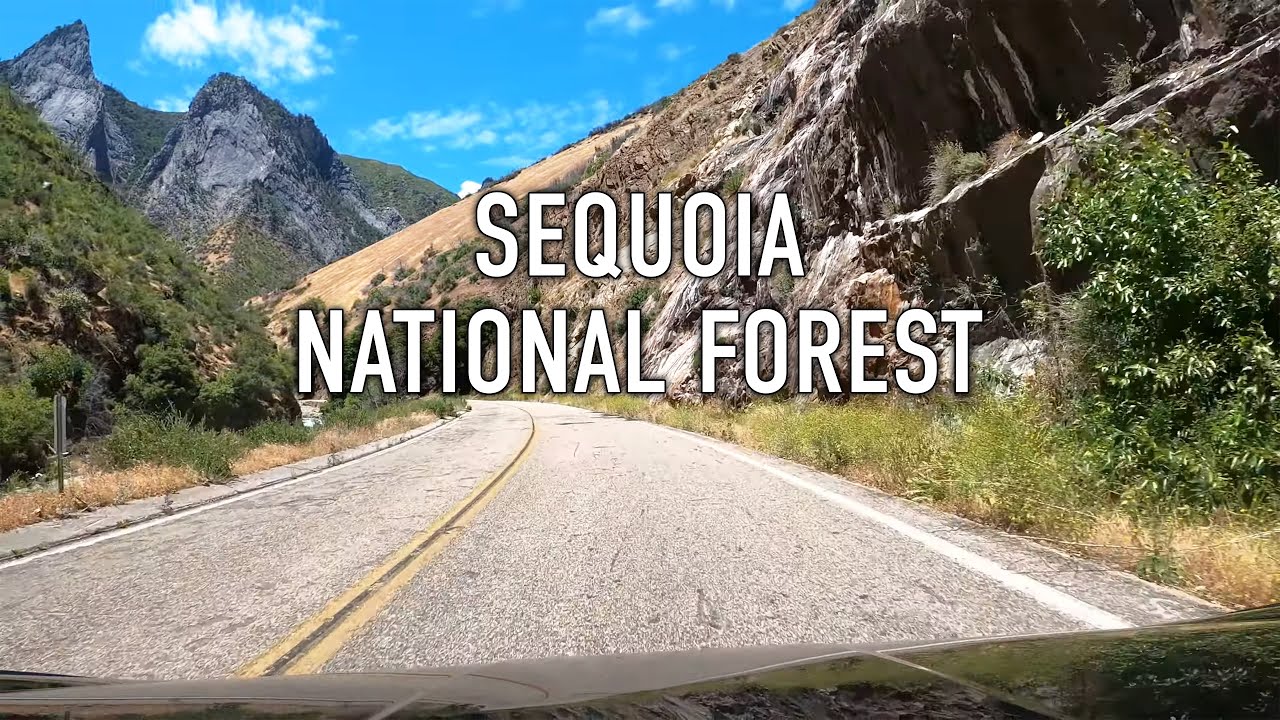 Sequoia National Forest Scenic Drive in 4K