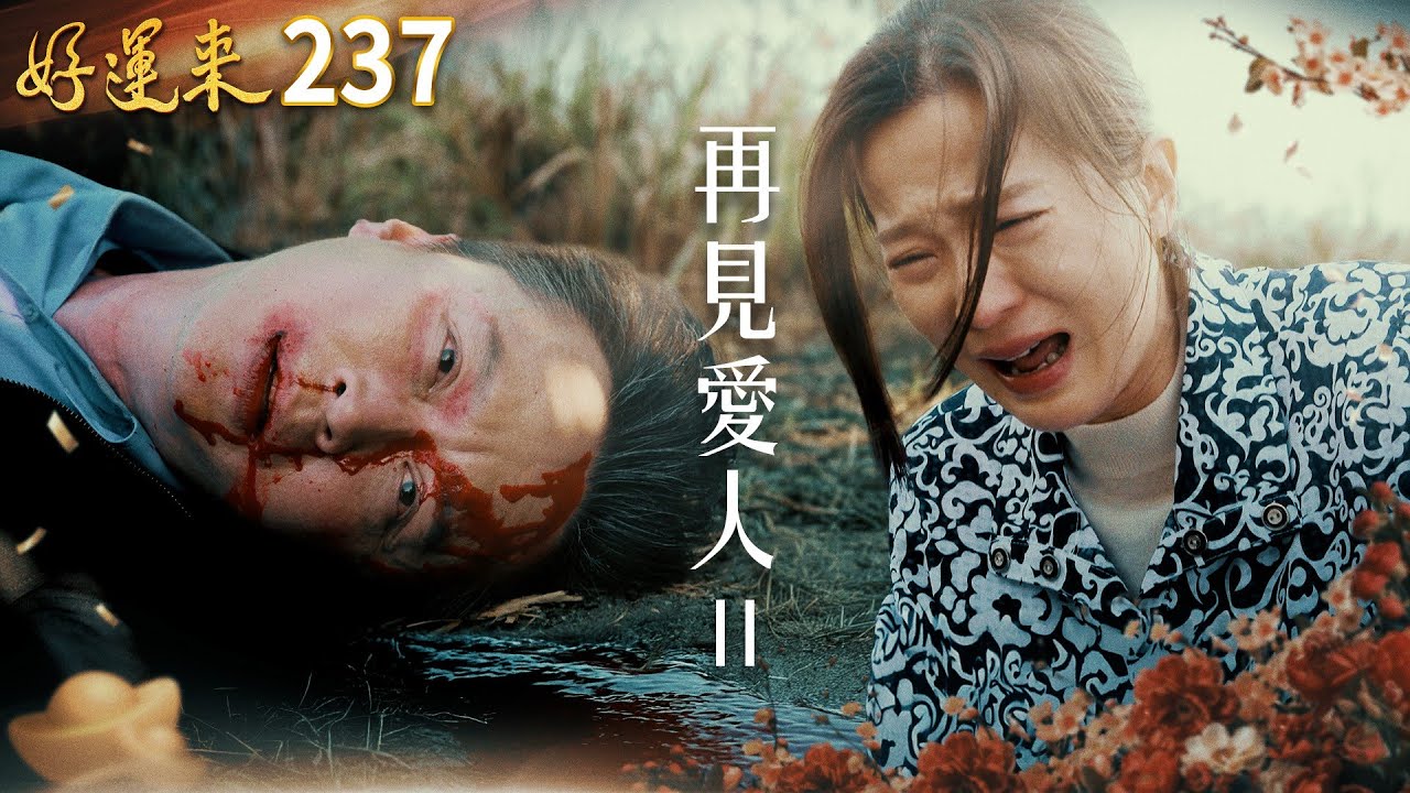 好運來 EP237 再見愛人 II｜Everybody Needs Good Luck