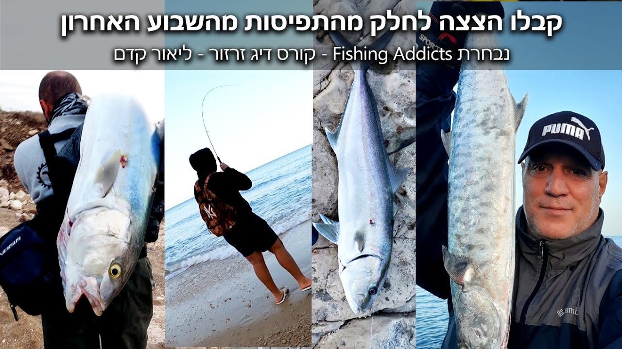 נבחרת התלמידים של Fishing Addicts - קבלו הצצה לחלק מהתפיסות שצולמו מהשבוע האחרון.