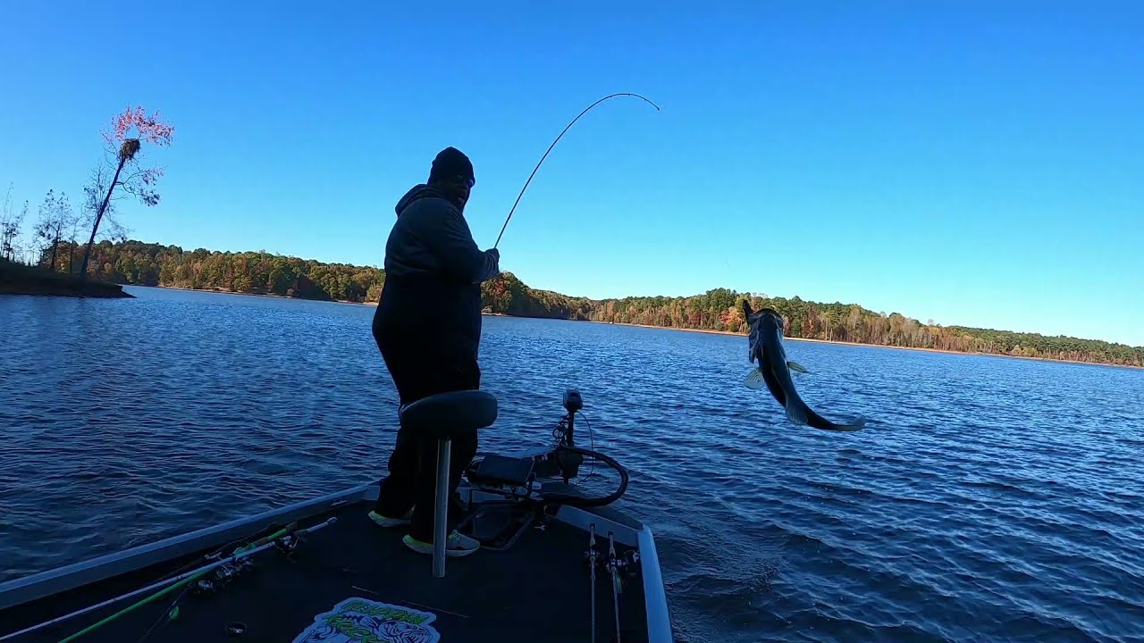 FISH THE LAY-DOWNS   (FALLS LAKE NC) FALL TRANSITION