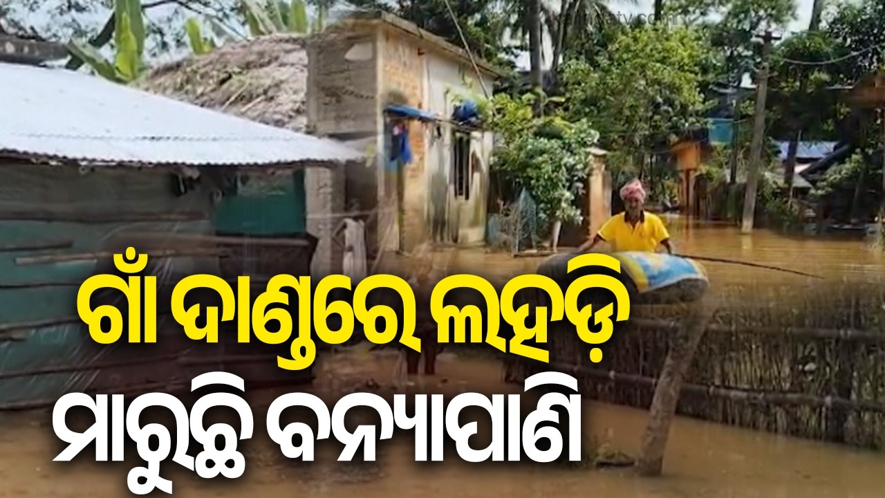Baitarani Flood: Dasarathpur Villagers Face Severe Hardships | Kalinga TV