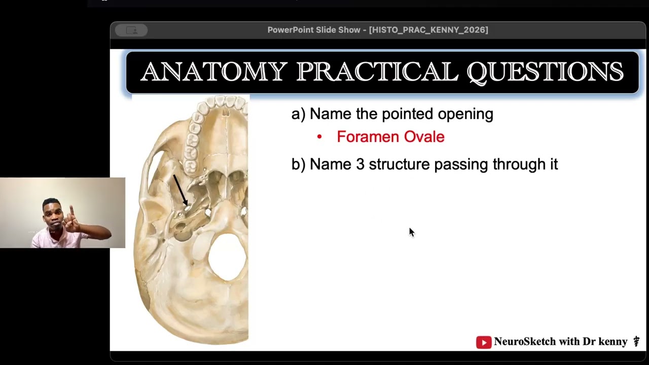Gross anatomy pratical