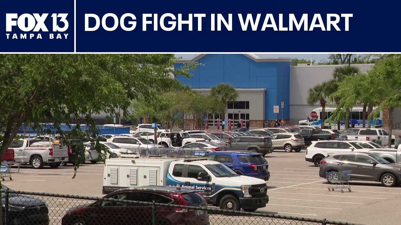 Внутри магазина Walmart в Палм-Харборе произошла собачья драка, пострадали 5 человек.
