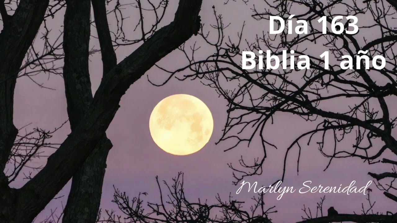 Día 163 Biblia 1 año