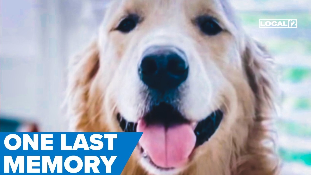 Steakhouse opens doors for dog's final meal, giving family one last memory