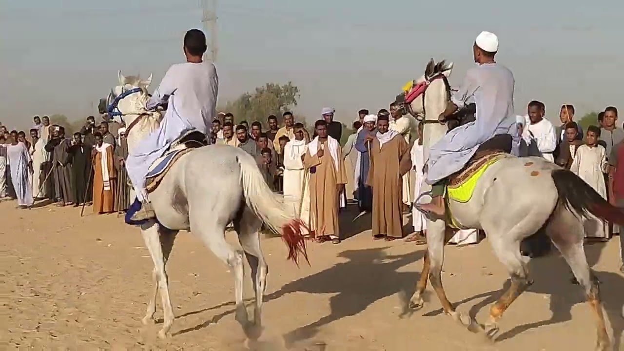 نجم المساوية وحقانى المساوية 2032 دور الإعادة القيام