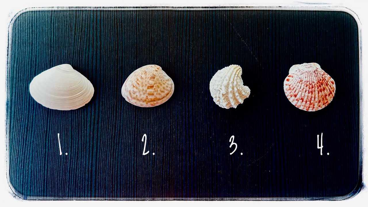 Bir Deste Se&ccedil; ~ Onunla herşey sona mı erdi ? Neler yaşanabilir? [Deste Se&ccedil;meli A&ccedil;ılım] #tarot 