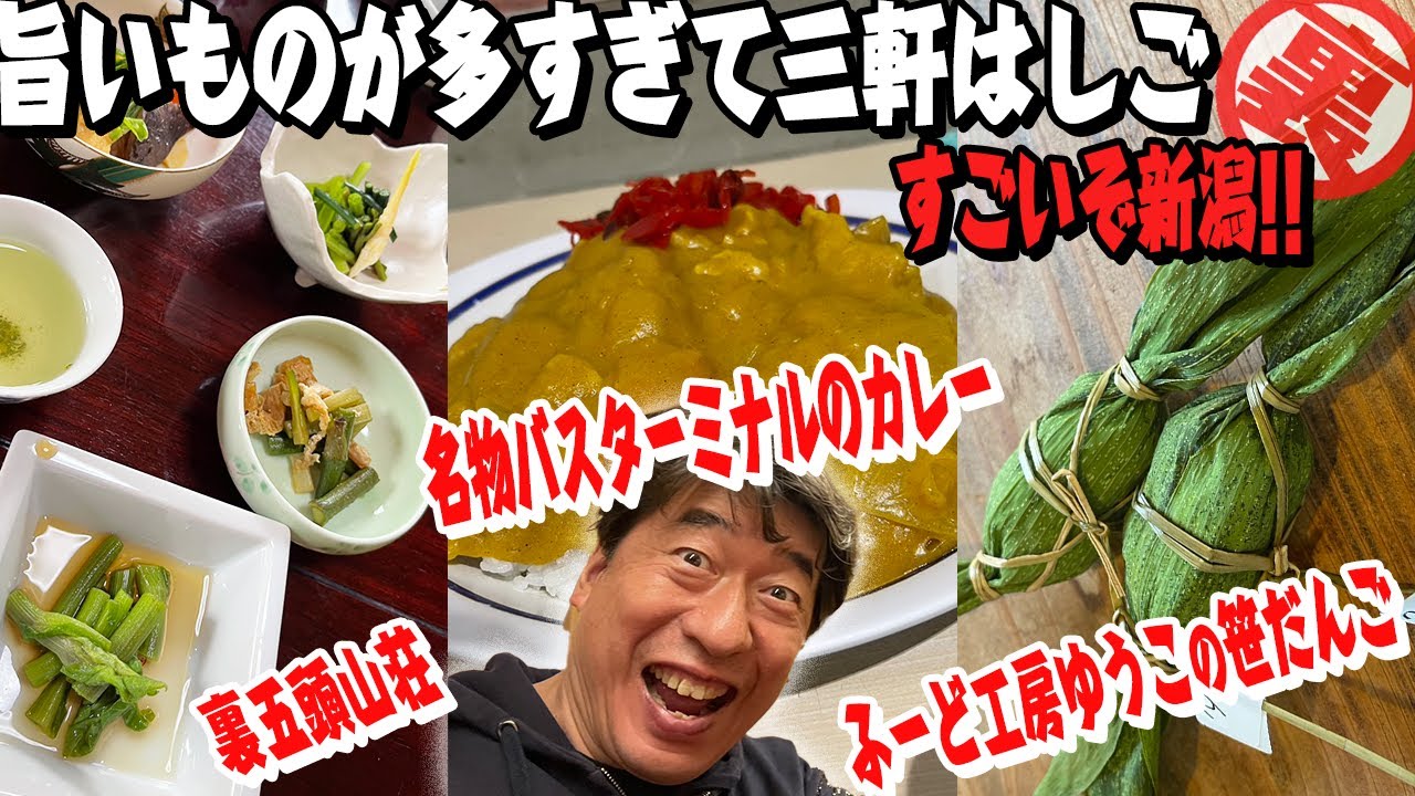 【三軒はしごだ】新潟満喫旅。山菜食べてデトックス!笹だんごで癒やし!名物バスターミナルカレーで懐かしさを感じる。ウザすぎる食レポ新潟編