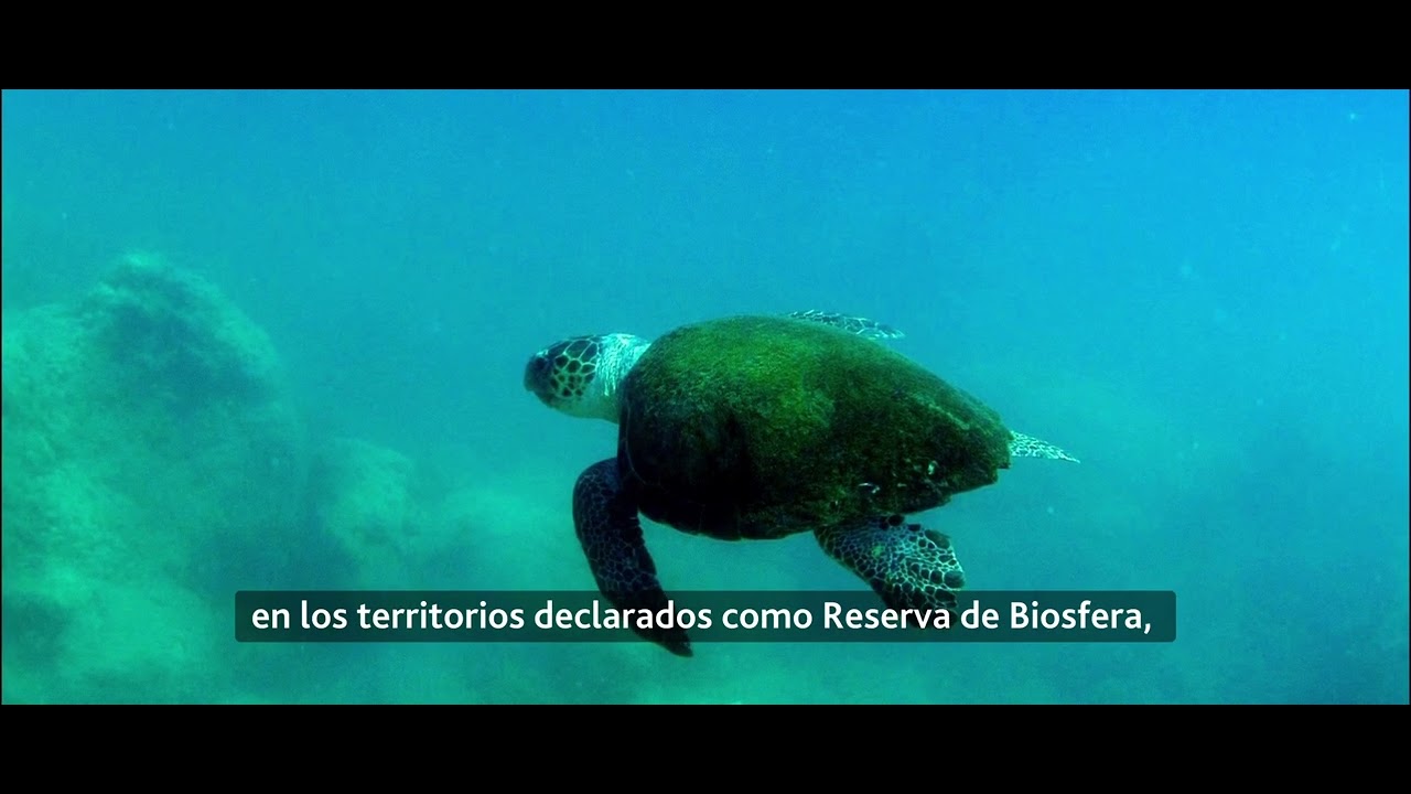 D&iacute;a Internacional de las Reservas de Biosfera (castellano)