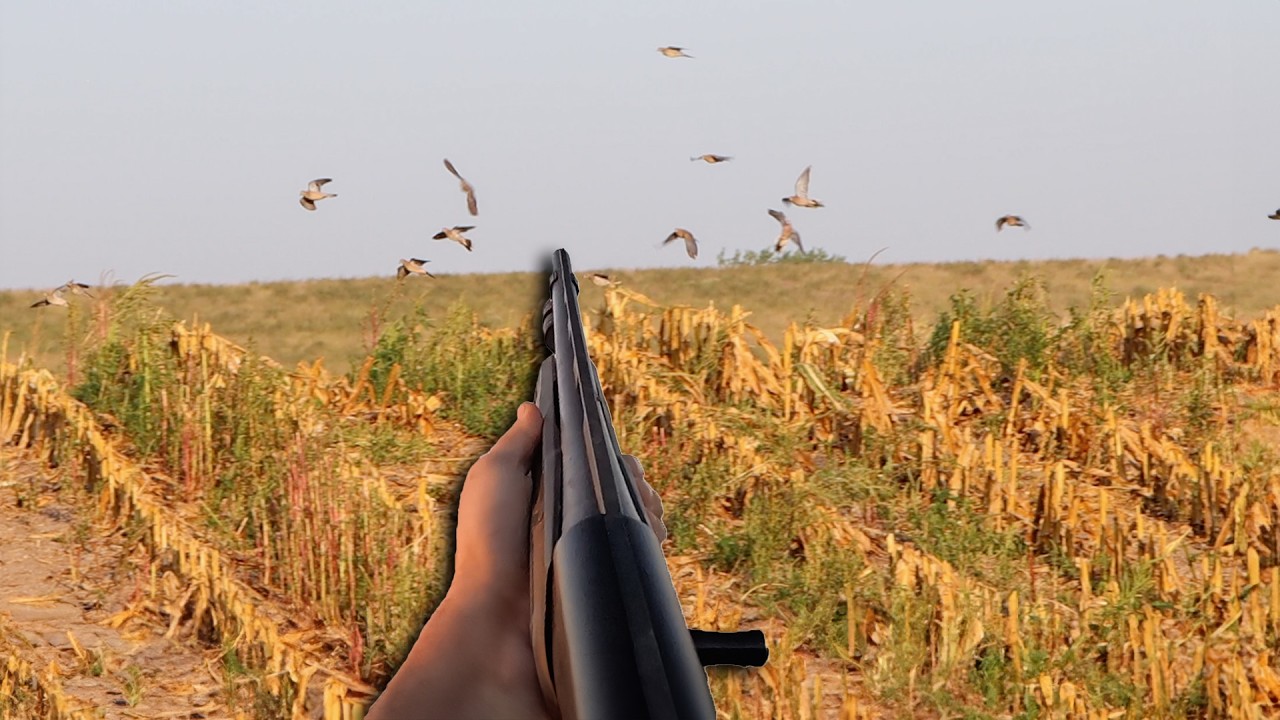 Dove Season SMASH (9 MAN LIMIT)