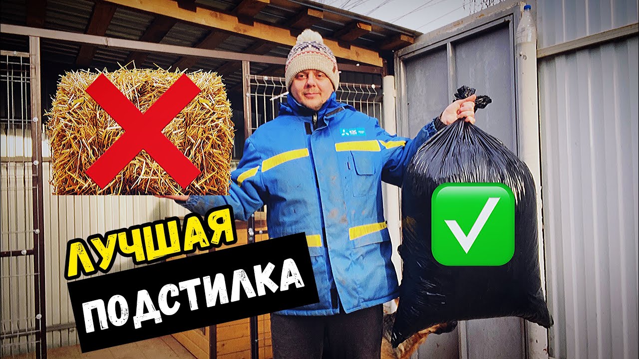 ЧТО ПОСТЕЛИТЬ СОБАКЕ В БУДКУ. НЕМЕЦКАЯ ОВЧАРКА
