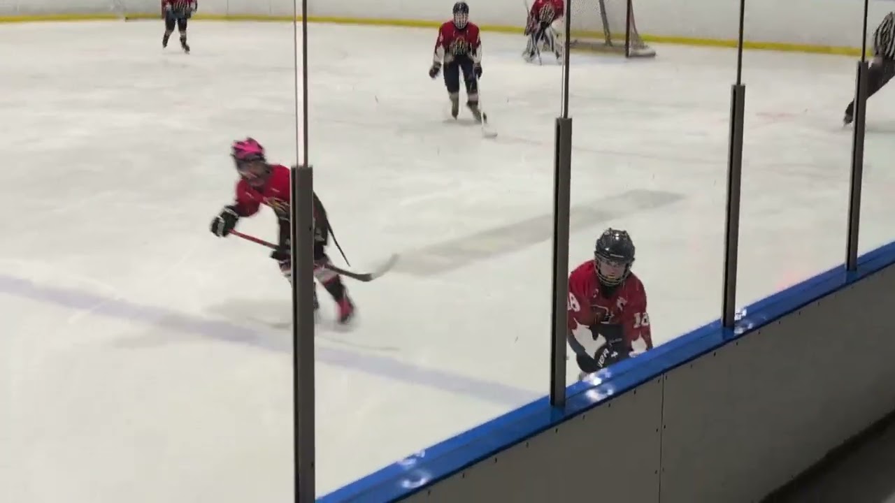 Feb 6 2026 Game Oshawa U12 Hawks versus Whitby U12 Wildcats