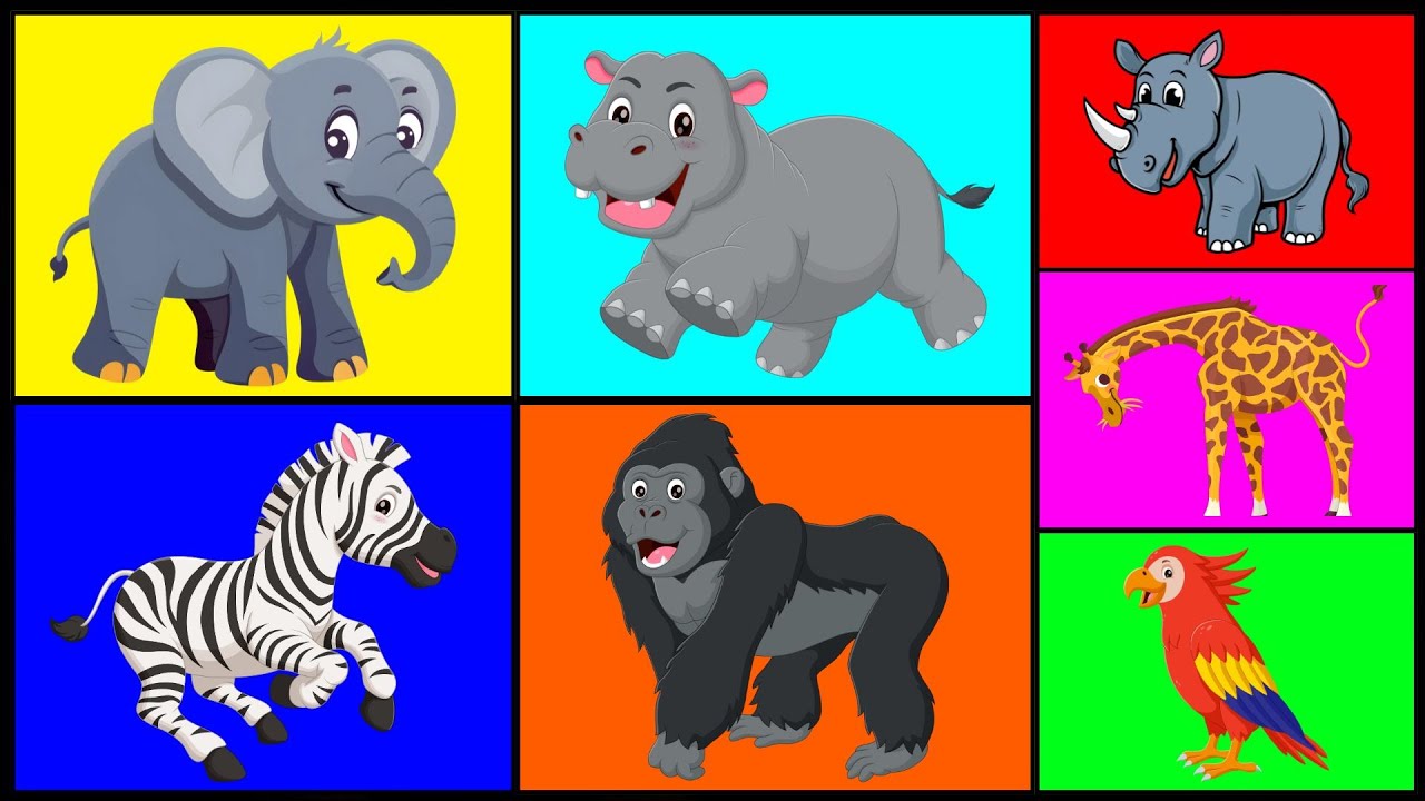🎥🔥 ¡60 ANIMALES INCREÍBLES del Mundo! 🌍🐯🐘 | Aprende con Gael y Owen - Videos Educativos para Niños