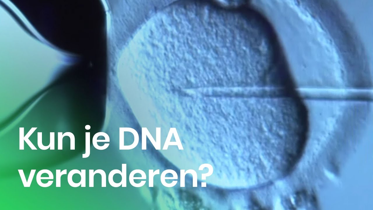 DNA veranderen in een oercel | Het Klokhuis