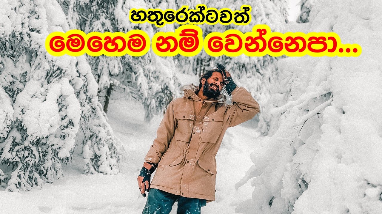 එයා යන්නම ගියා 😭| Our drone crashed in to the huge tree.