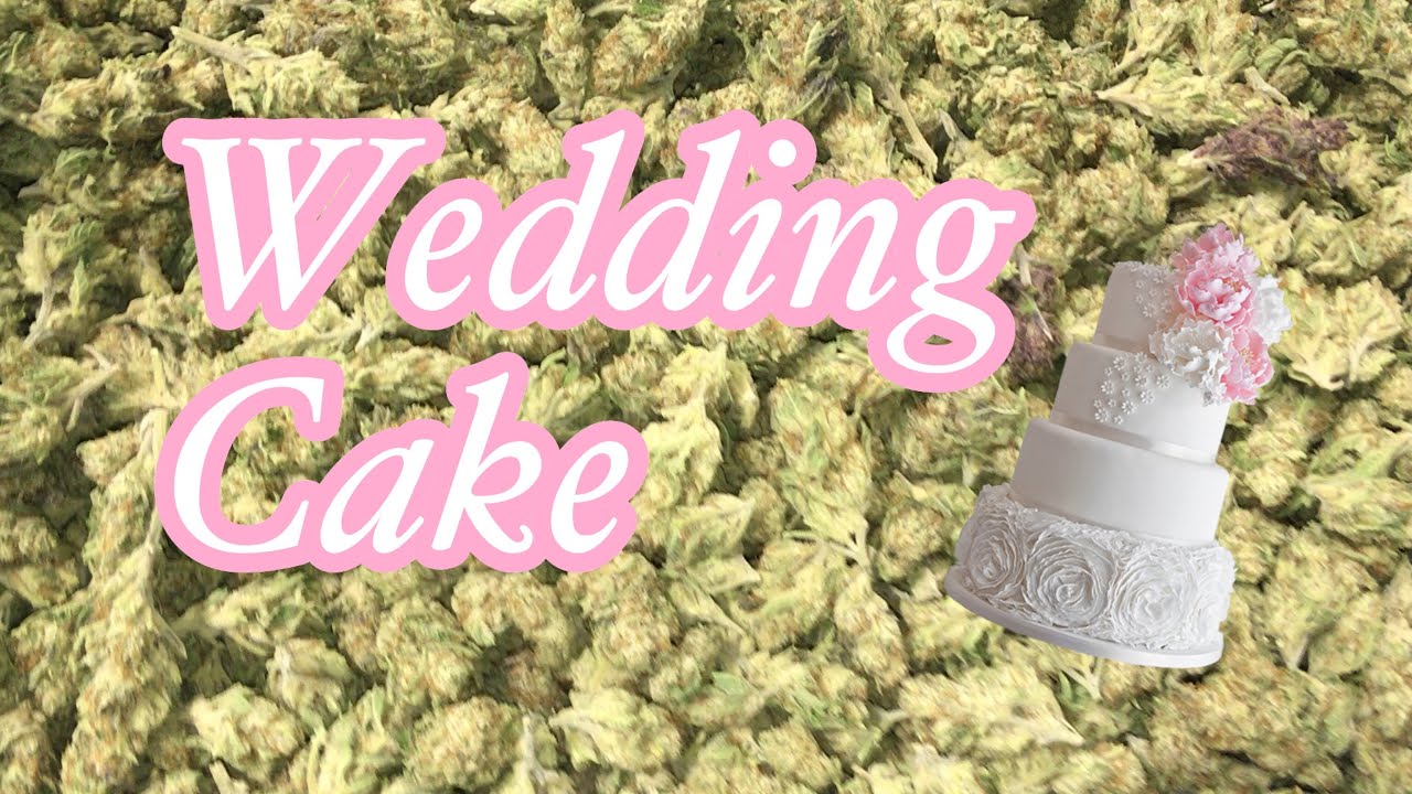 Wedding Cake Weed