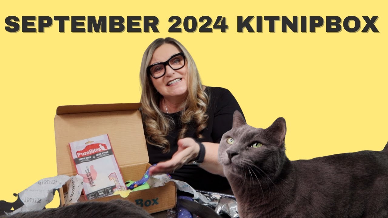 September 2024 Kitnipbox Unboxing and Review