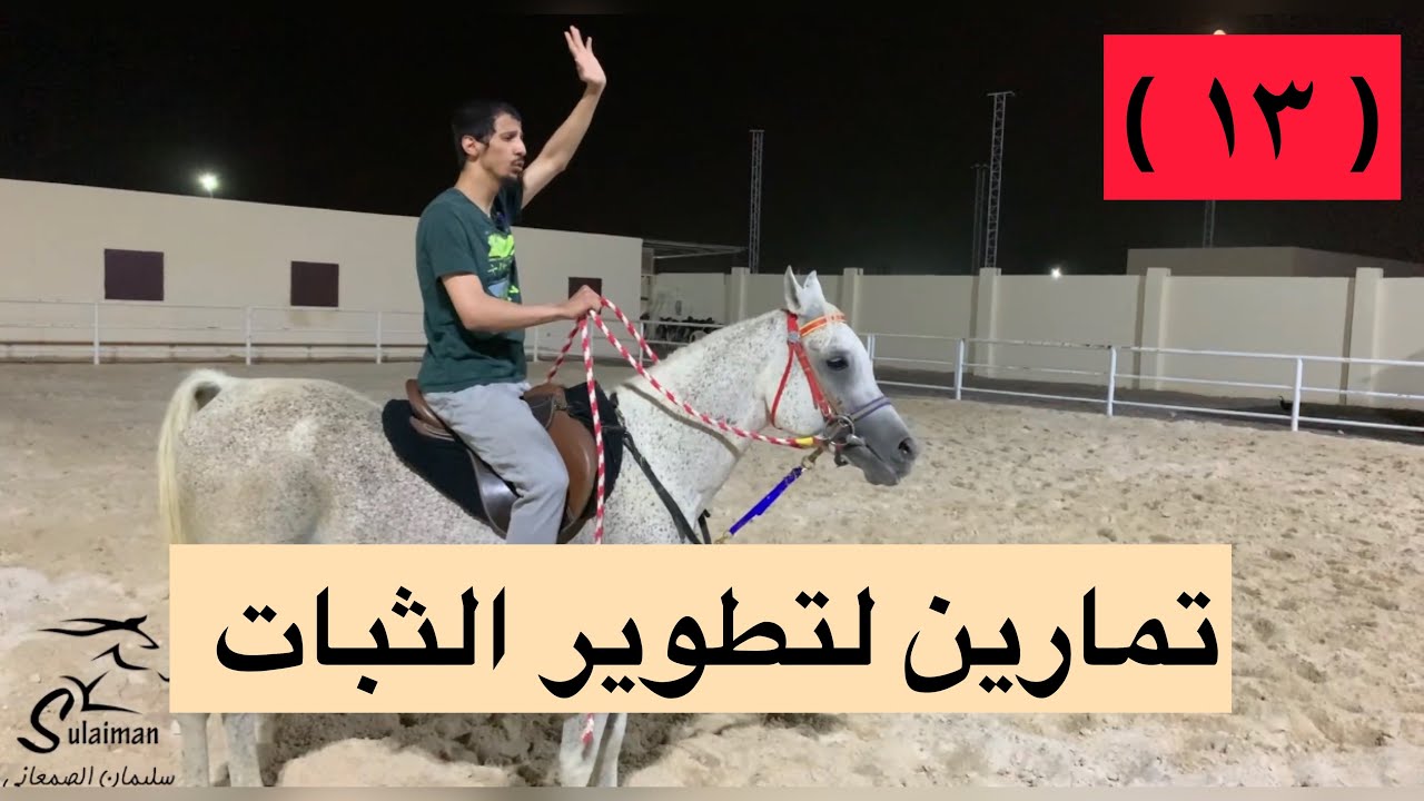 #تعلم_ركوب_الخيل ( ١٣ ) تمارين لتطوير الثبات