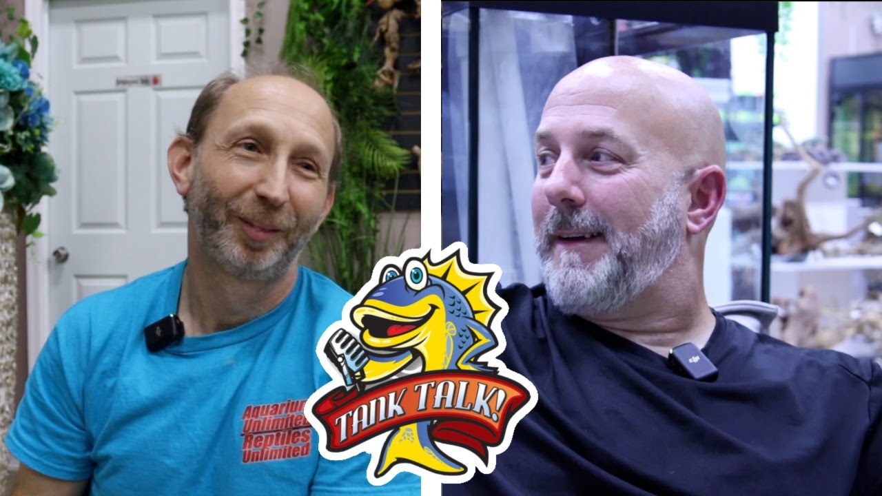 This Man Owns The Nicest Aquarium Store On Earth! Tank Talk Episode 16
