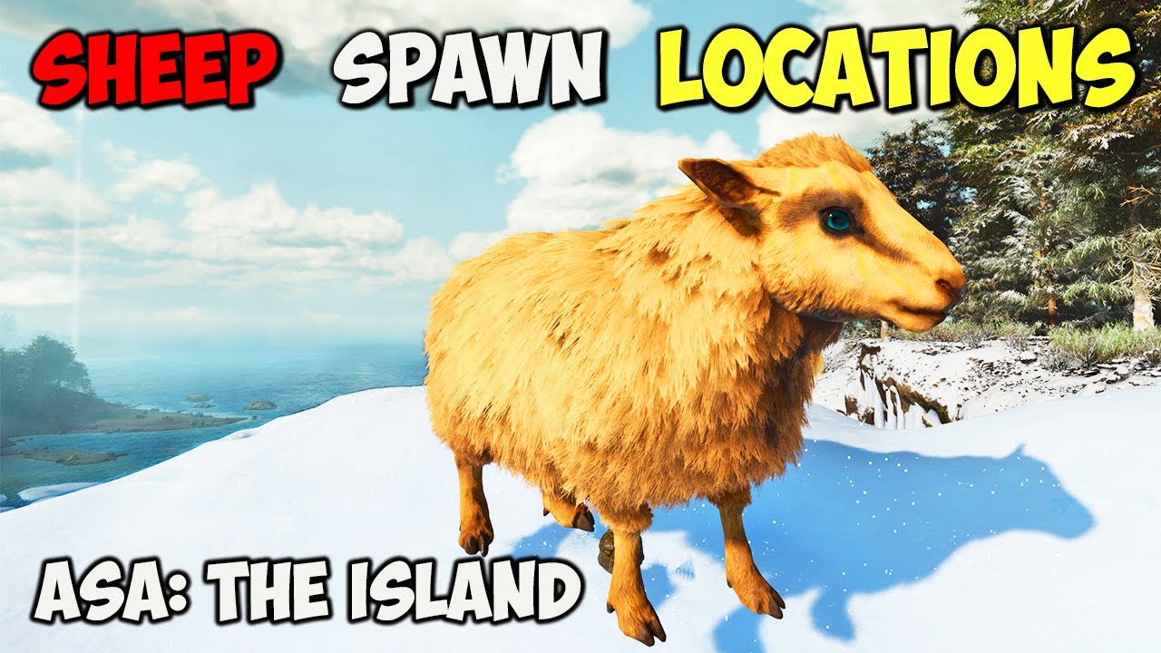 ASA: ЛУЧШИЕ МЕСТА ВОЗНИКНОВЕНИЯ Овисов | ARK Survival Ascended The Island