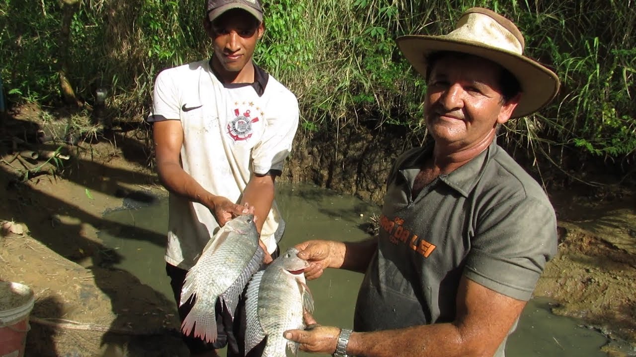 PESCARIA NA MINHA CRIAÇÃO DE PEIXES