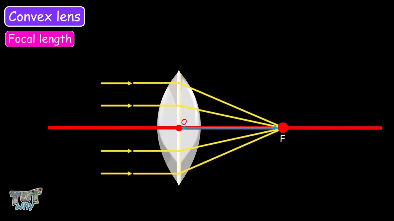 Convex lens (part 1) | Science|Grade-7,8| Tutway|