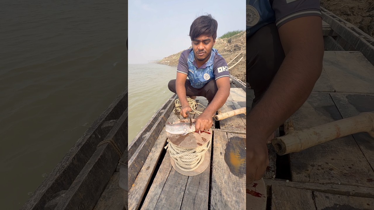 Best catfish bait throwing in river by hook yarn 6  