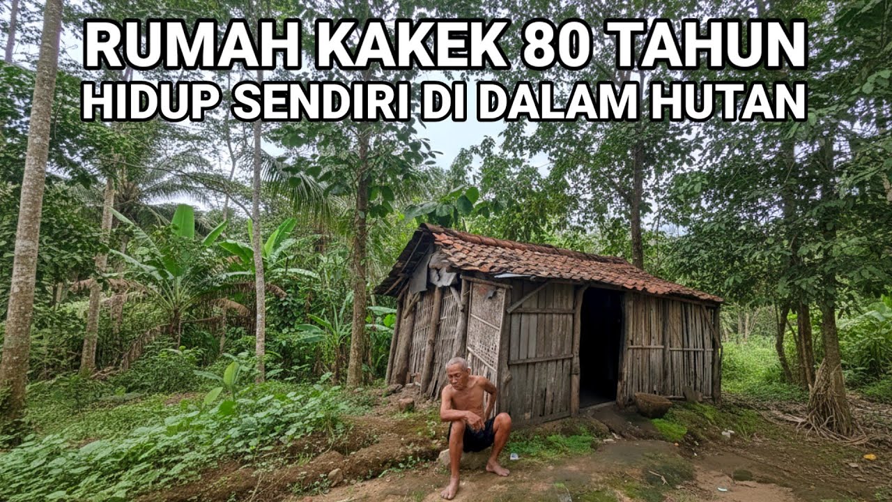 Rumah Di Dalam Hutan Di Huni Kakek Yang Hidup Sendirian