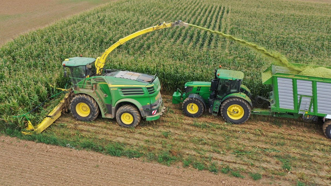 JOHN DEERE 8700i &agrave; l'ENSILAGE de MA&Iuml;S 2020 ! X12 rangs ! X4 CAMIONS & X5 BENNES ! Evrard Sprimat