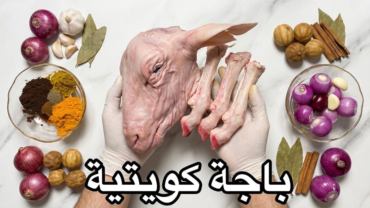 KUWAITI BACHA | باجة كويتية أصلية