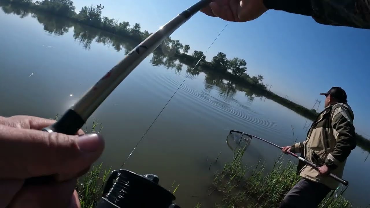 РЫБАЛКА В АБИНСКОМ РАЙОНЕ ЛОВИМ КАРПА И САЗАНА НА БАЗЕ 