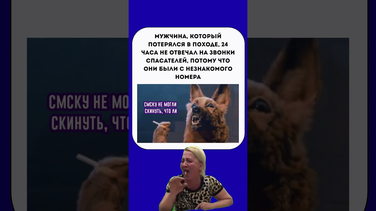 #анекдоты #ржачныевидео #вирус #мем #ржач #топ #рек #аха #юмор #shortsvideo