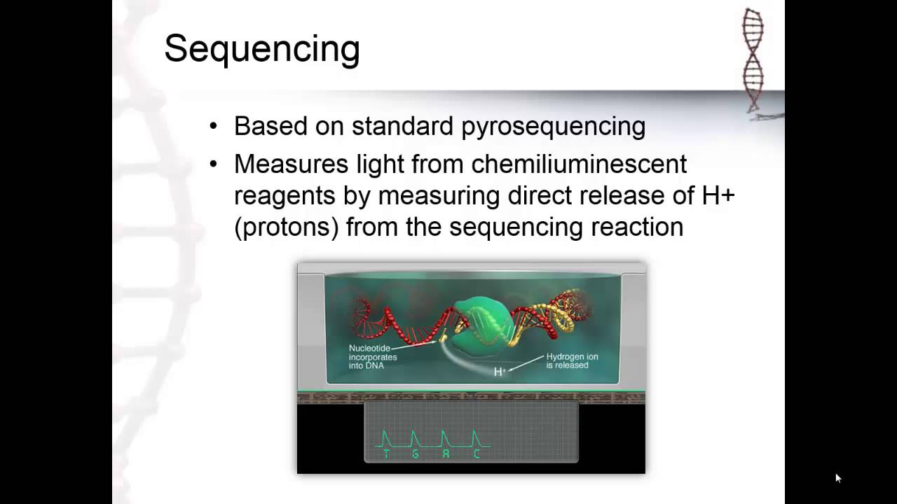 Ion Torrent Sequencing (4.6)