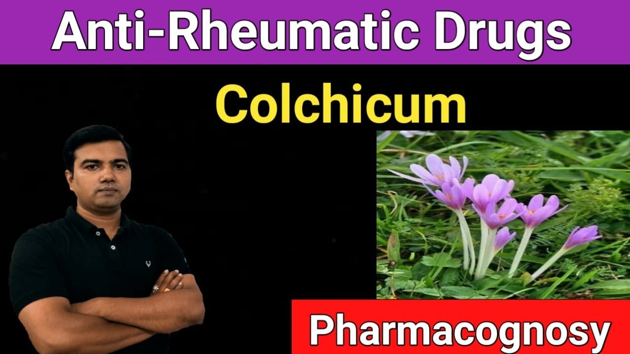 Anti-Rheumatic Drugs (Colchicum) pharmacognosy