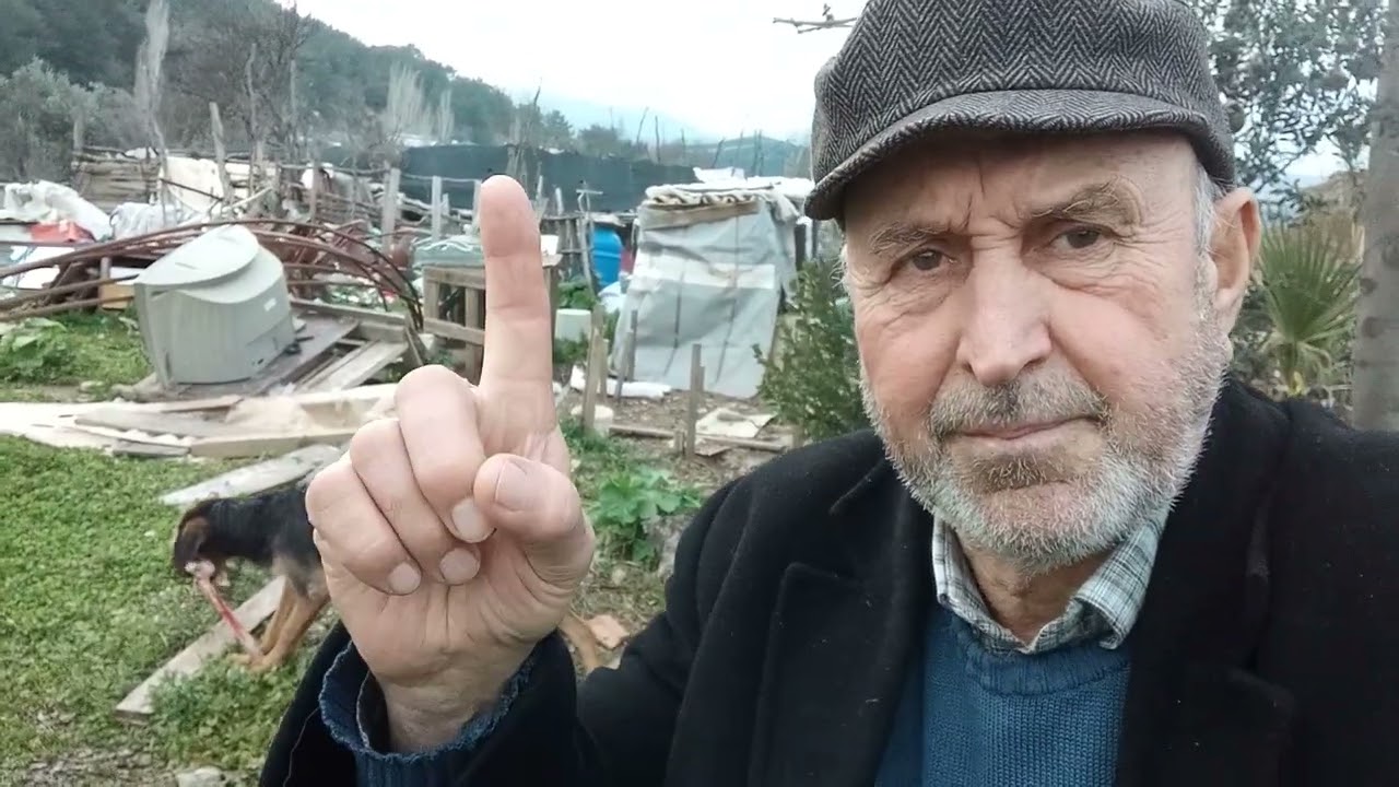 Afganistan İslam Emirliği 