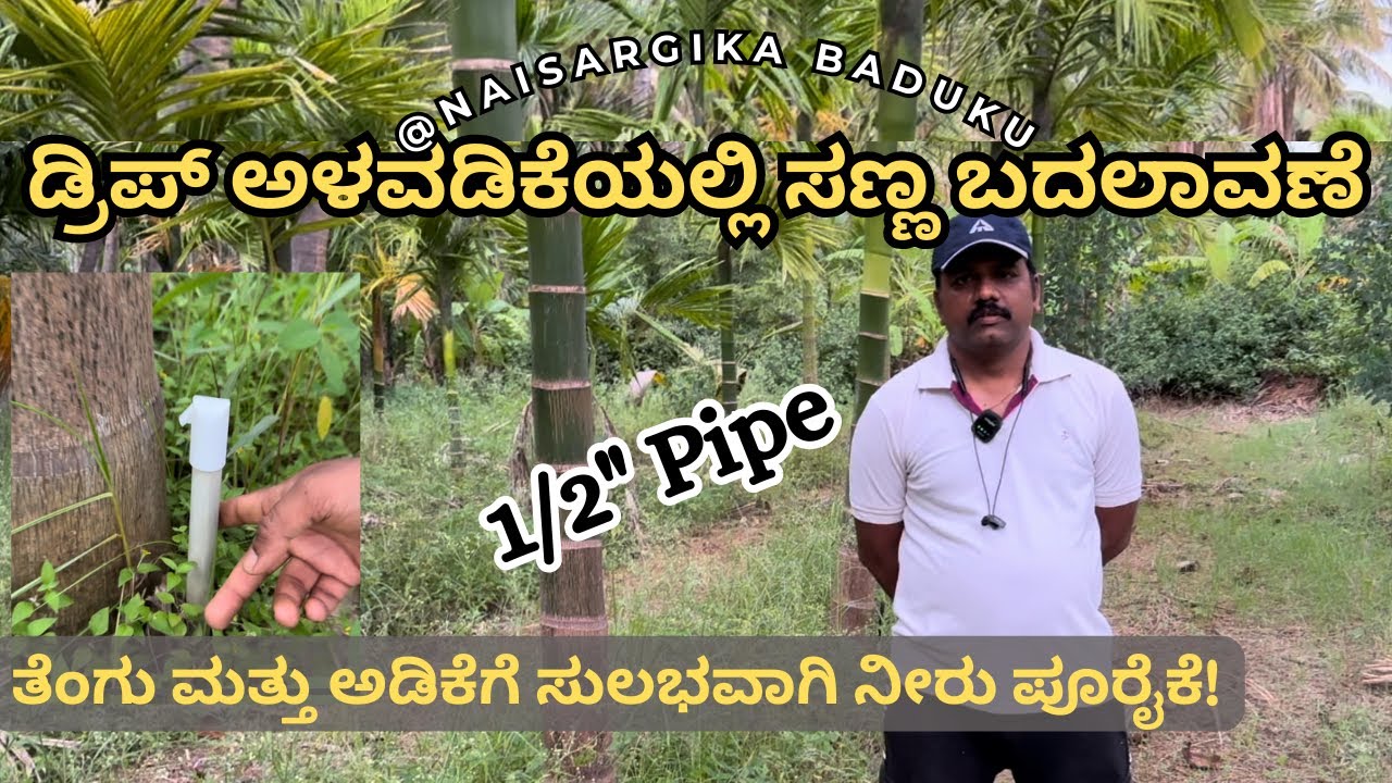 ಡ್ರಿಪ್ ಅಳವಡಿಕೆಯಲ್ಲಿ ಸಣ್ಣ ಬದಲಾವಣೆ| 1/2 inch pipe irrigation| ಅಡಿಕೆಗೆ ಸುಲಭವಾಗಿ ನೀರು ಪೂರೈಕೆ🇮🇳💛❤️