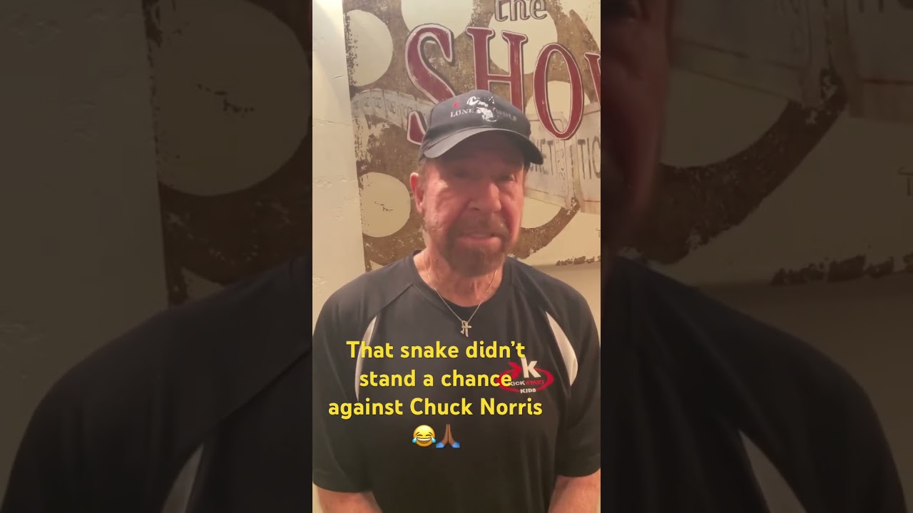 Chuck Norris Vs the Snake 🐍. 