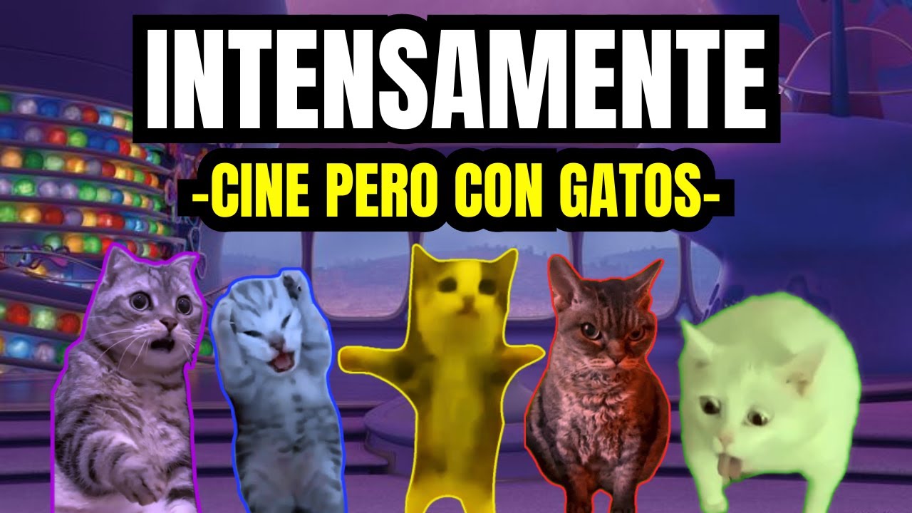 INTENSAMENTE , cine pero con gatos (meme de gatos)