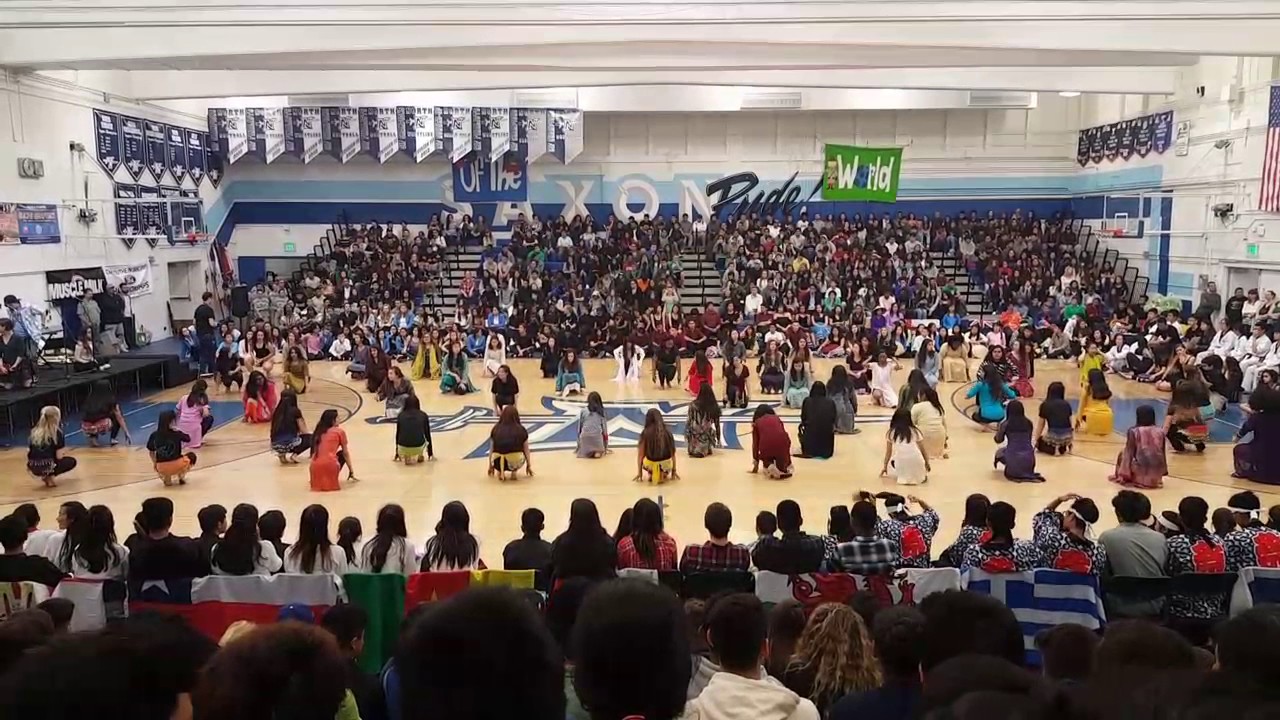NHS 2017 Multicultural IPS
