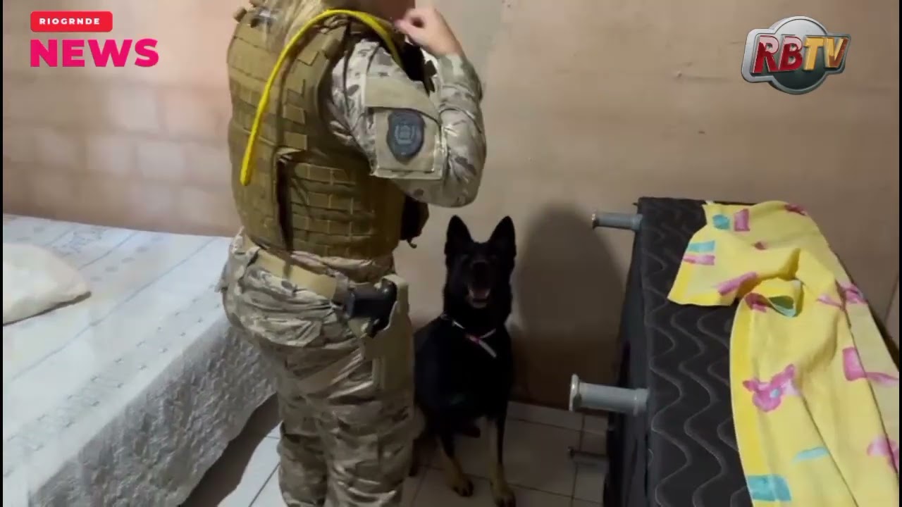 Operação em Piripiri 
