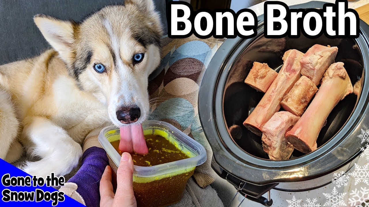 How to Make Beef Bone Broth for Dogs | DIY Dog Treats 112