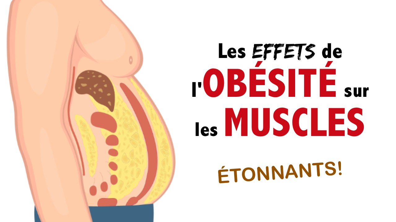 Les effets ÉTONNANTS de la graisse corporelle sur les muscles (obésité sarcopénique)