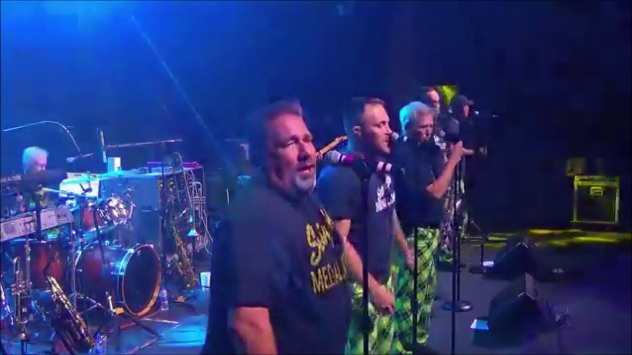 The Swingin Medallions -  Shotgun