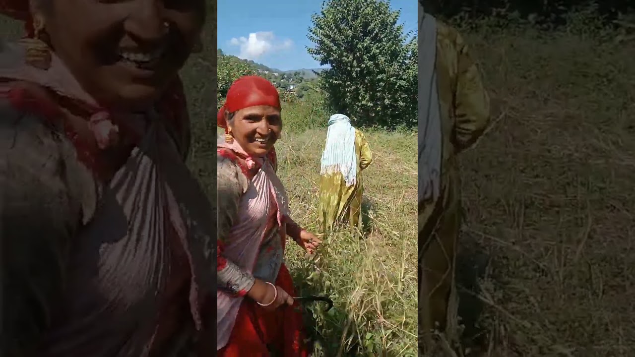 2025 me jab apne gaav gaya tha 