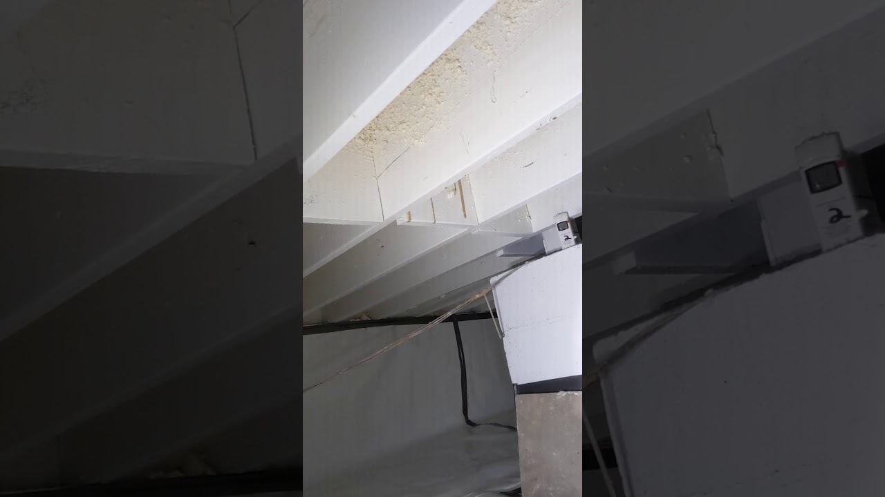 The Right Way To Do A Crawlspace Mold Remediation