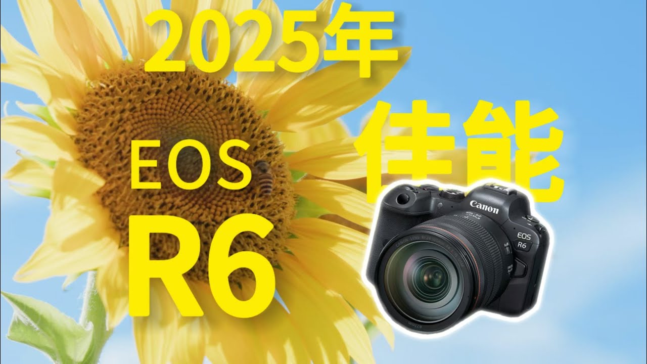 Кто - нибудь будет использовать Canon EOS R6 в 2025 году?