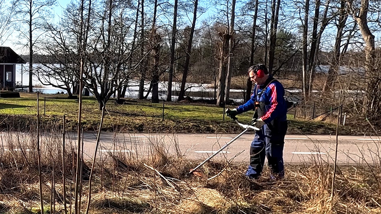 Nu ved jeg hvor vildsvinene kommer ind, så det er tid at få sat el-hegnet på et mere permanent sted
