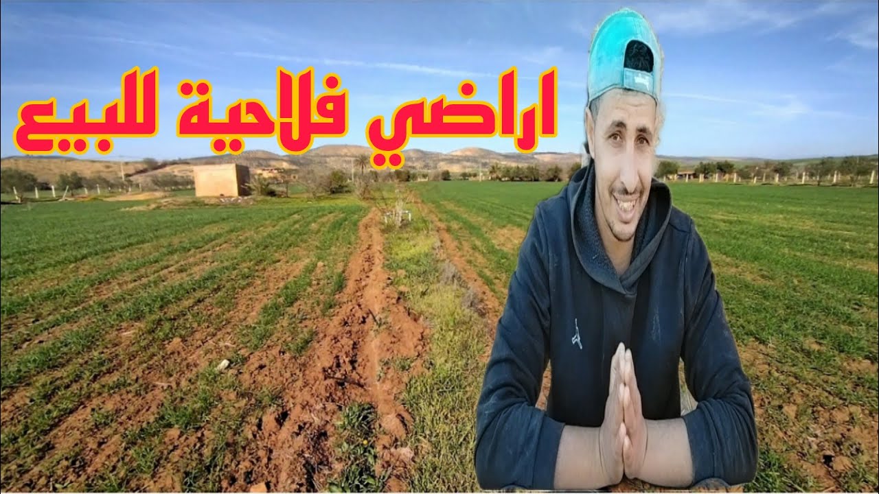 تربية دجاج 3 أراضي فلاحية للبيع نوحي مدينة الخميسات